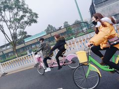 -张坝桂圆林公园