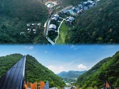 -贵州百里杜鹃风景名胜区