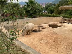 -泉州海丝野生动物世界
