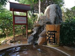 -金穗园温泉酒店