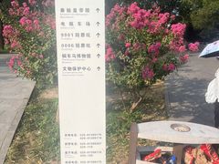 -秦始皇帝陵博物院-丽山园