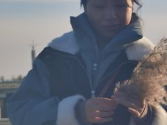 -丁香湖公园