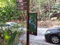 -东莞市大岭山森林公园
