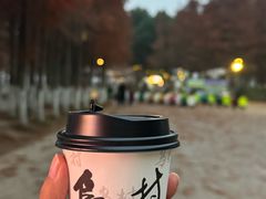 -乌村