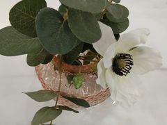 -慈宁宫鲜炖燕窝(文一物美店)