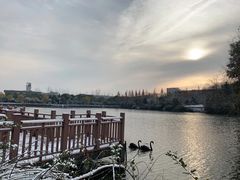 -仙林宾馆-餐厅