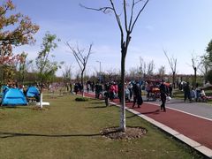 -上海长兴岛郊野公园