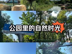 -上海长兴岛郊野公园