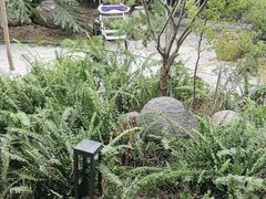 -往来·竹里.宝宝宴.生日宴.团建.宴席(花乡农居店)
