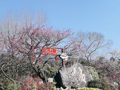 -无锡梅园公园