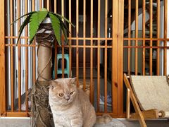 -Catmate·猫肥家润(金润铂宫店)