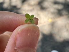 -大同煤炭博物馆