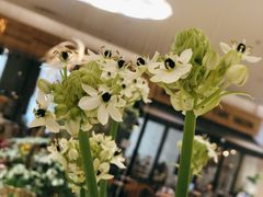 -1/4 ONE QUARTER COFFEE LAB(朝阳大悦城店)
