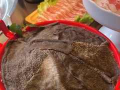 -辣伍鲜毛肚老火锅(元一店)