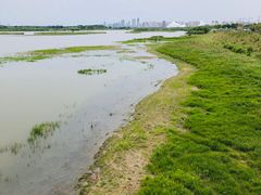 -哈尔滨大剧院