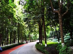 -龙头寺公园