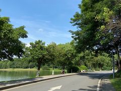 -东莞植物园
