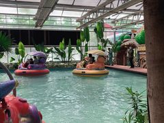 -南宫五洲植物乐园