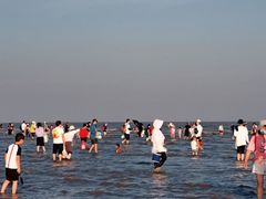 -南汇嘴观海公园