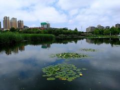 -前关湿地公园