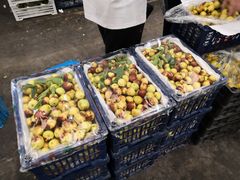 -西郊国际农产品交易中心