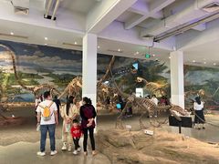 -自贡恐龙博物馆