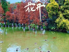-海珠湖公园