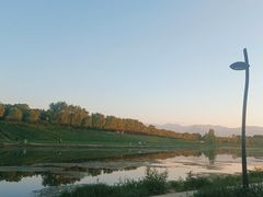-洨河生态公园