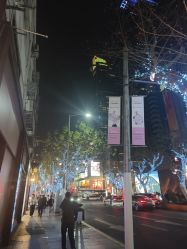 -梅龙镇酒家·宴会厅(南京西路总店)