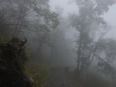 -武当山风景区