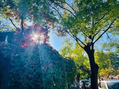 -天津五大道文化旅游区