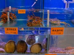 -好彩海鲜火锅饭店(银河百老汇店)