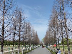 -嘉北郊野公园