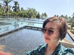 -亚龙湾喜来登·美景台大堂吧