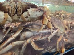 -苏先生海鲜渔庄(金桥店)