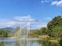 -中国科学院西双版纳热带植物园