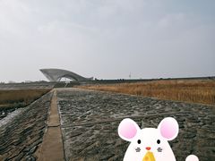 -南汇嘴观海公园