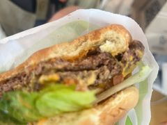 -纽瓦克自由国际机场