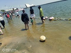 -碧海金沙