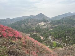-木兰云雾山
