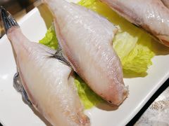 极品耗儿鱼-小龙坎老火锅(北京三里屯店)