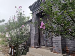 -阳台山自然风景区