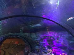 -沈阳海洋探索中心