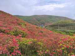 -大围山国家森林公园