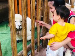 -杭州开元森泊度假乐园