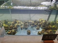 -长沙三景韦尔斯利酒店·Oval全日制餐厅自助餐
