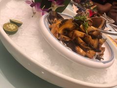 温拌海螺-新海渔港·胶东海鲜家常菜·家宴(奥体中心店)
