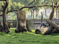 -武汉动物园