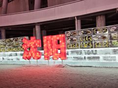 -沈阳奥体冰雪嘉年华