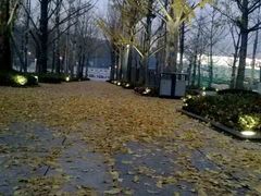 -百林公园-两江幸福广场